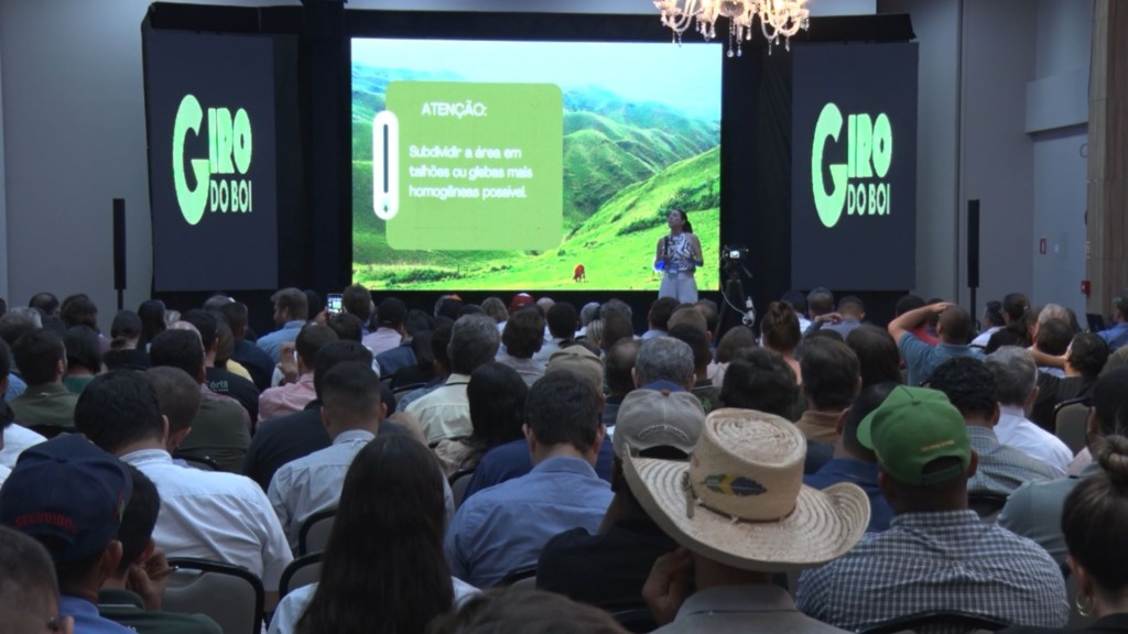 Edição do Capim Day em Cuiabá (MT). Foto: Reprodução