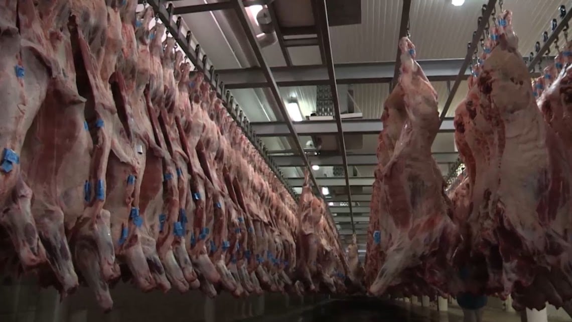 Oferta de carne bovina bate recorde no início de 2025