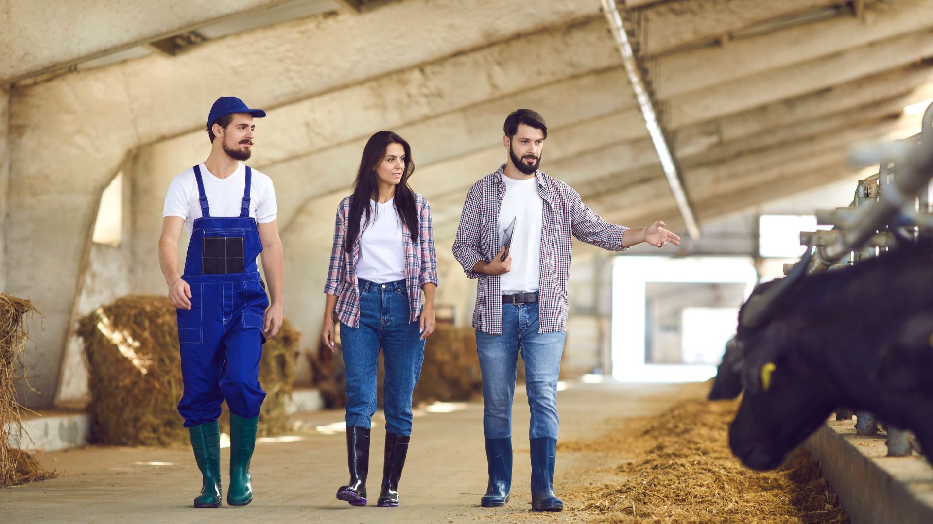 CNA/Cepea: agronegócio empregava 28,5 milhões de pessoas no 1º trimestre
