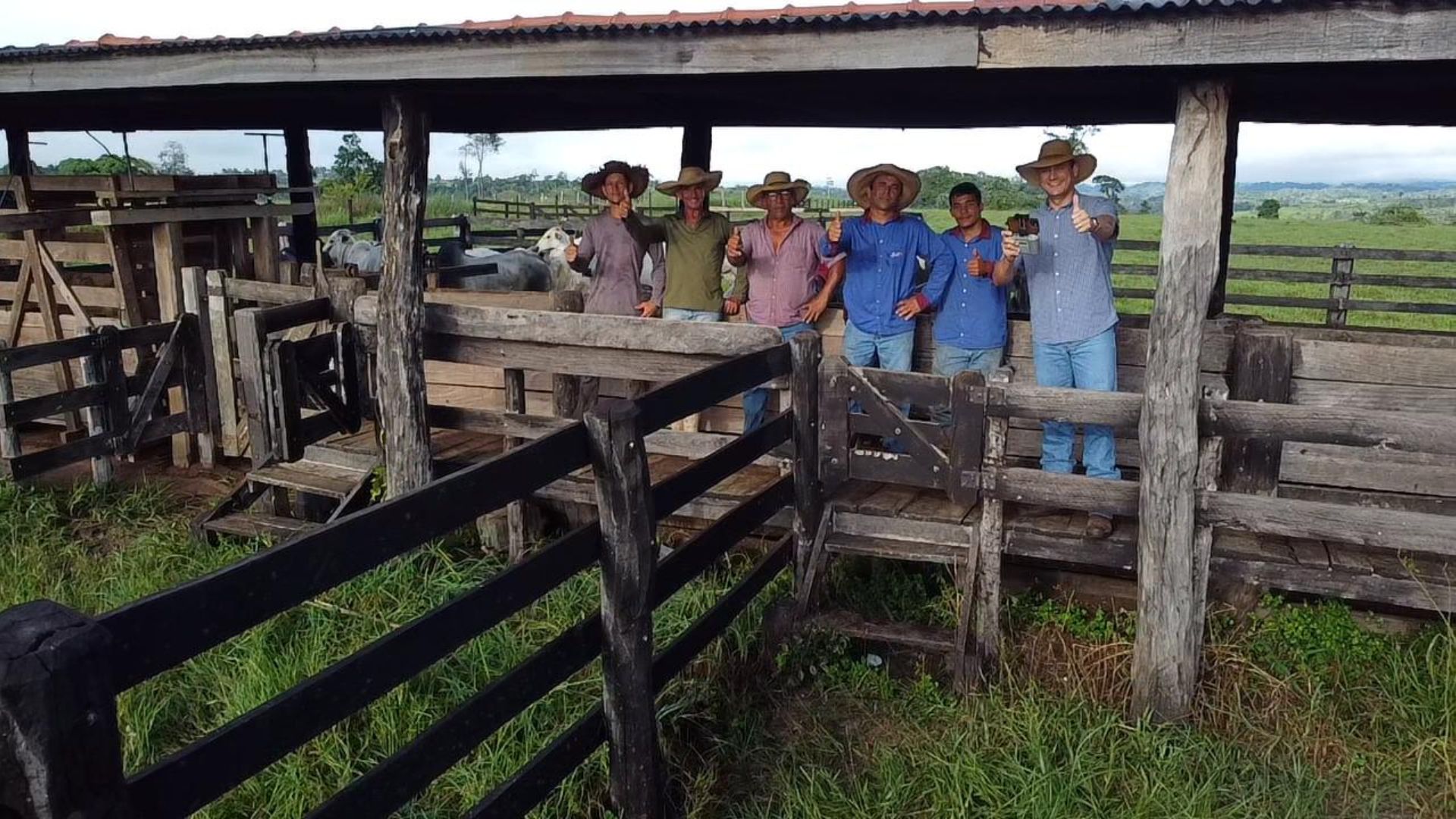 De Rondônia para a China: pecuaristas familiares investem em gado jovem de olho em mercado exportador