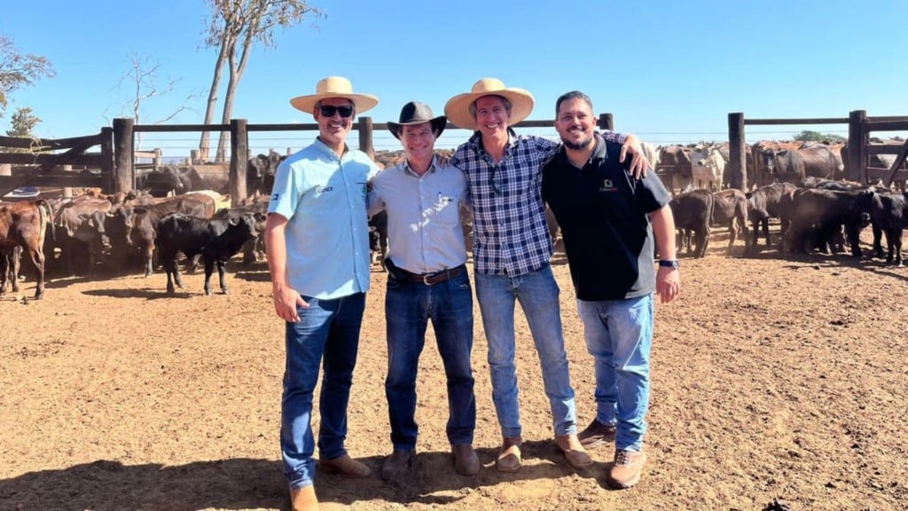 André Filippo (2º da dir para a esq.) com os técnicos (da esq. para dir) Emerson Pessoa, médico-veterinário; Alexandre Zadra, zootecnista; e Adauto Vedovelli, gerente da Friboi de Pedra Preta (MT). Foto: Divulgação