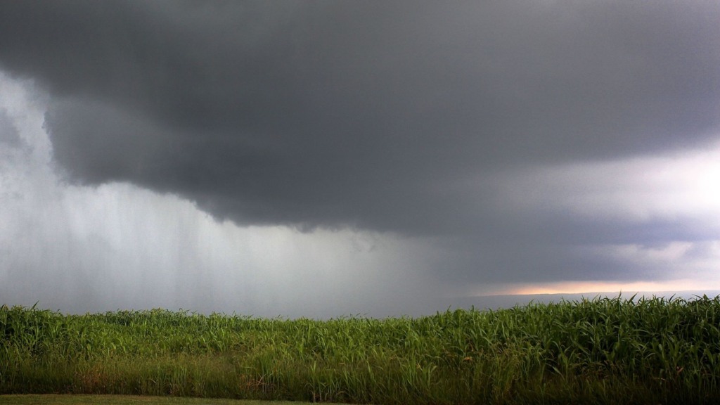 Até 60 mm de chuva no fim de abril anima produtores e favorece o pasto. Saiba mais