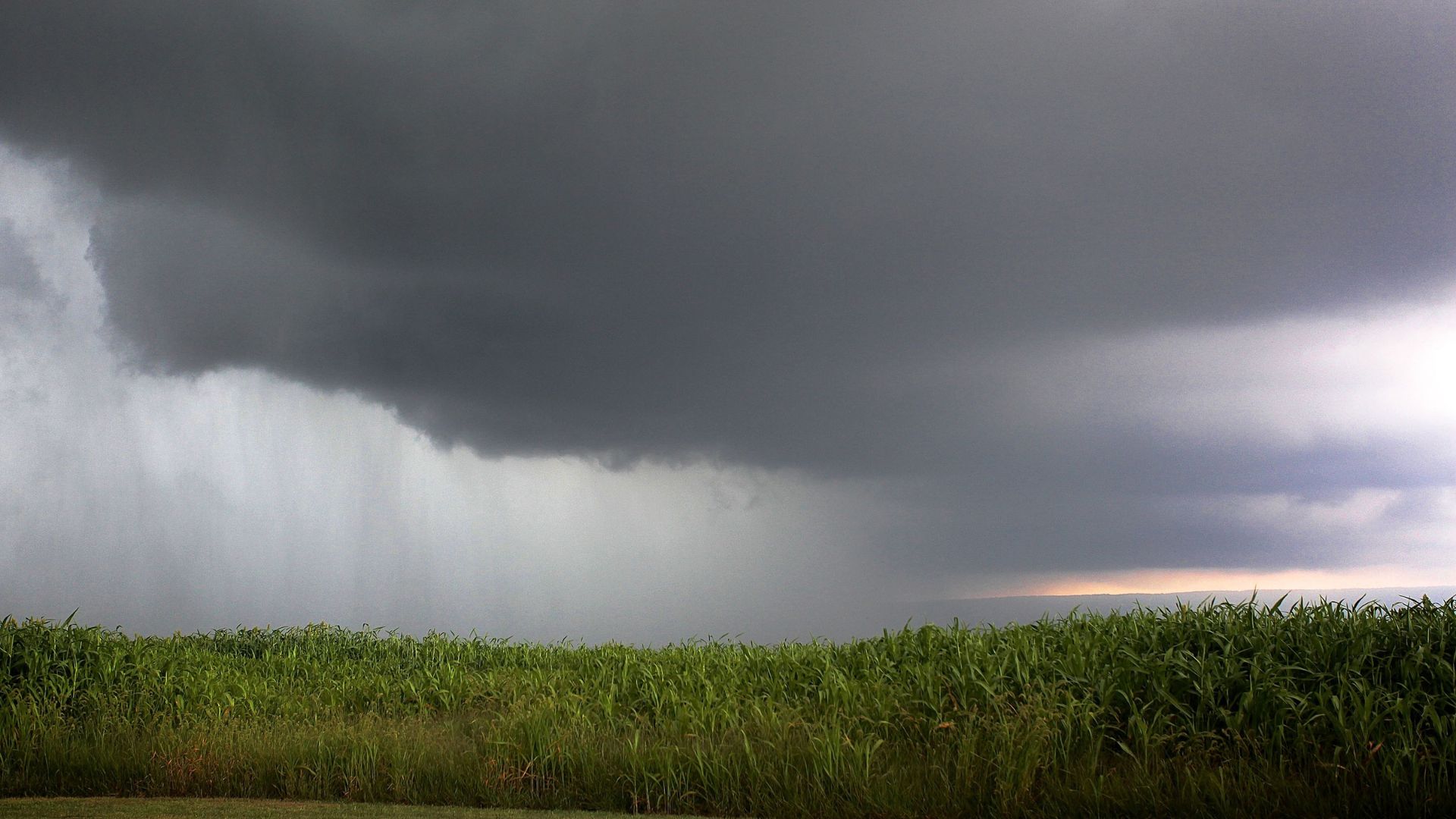 Até 60 mm de chuva no fim de abril anima produtores e favorece o pasto. Saiba mais