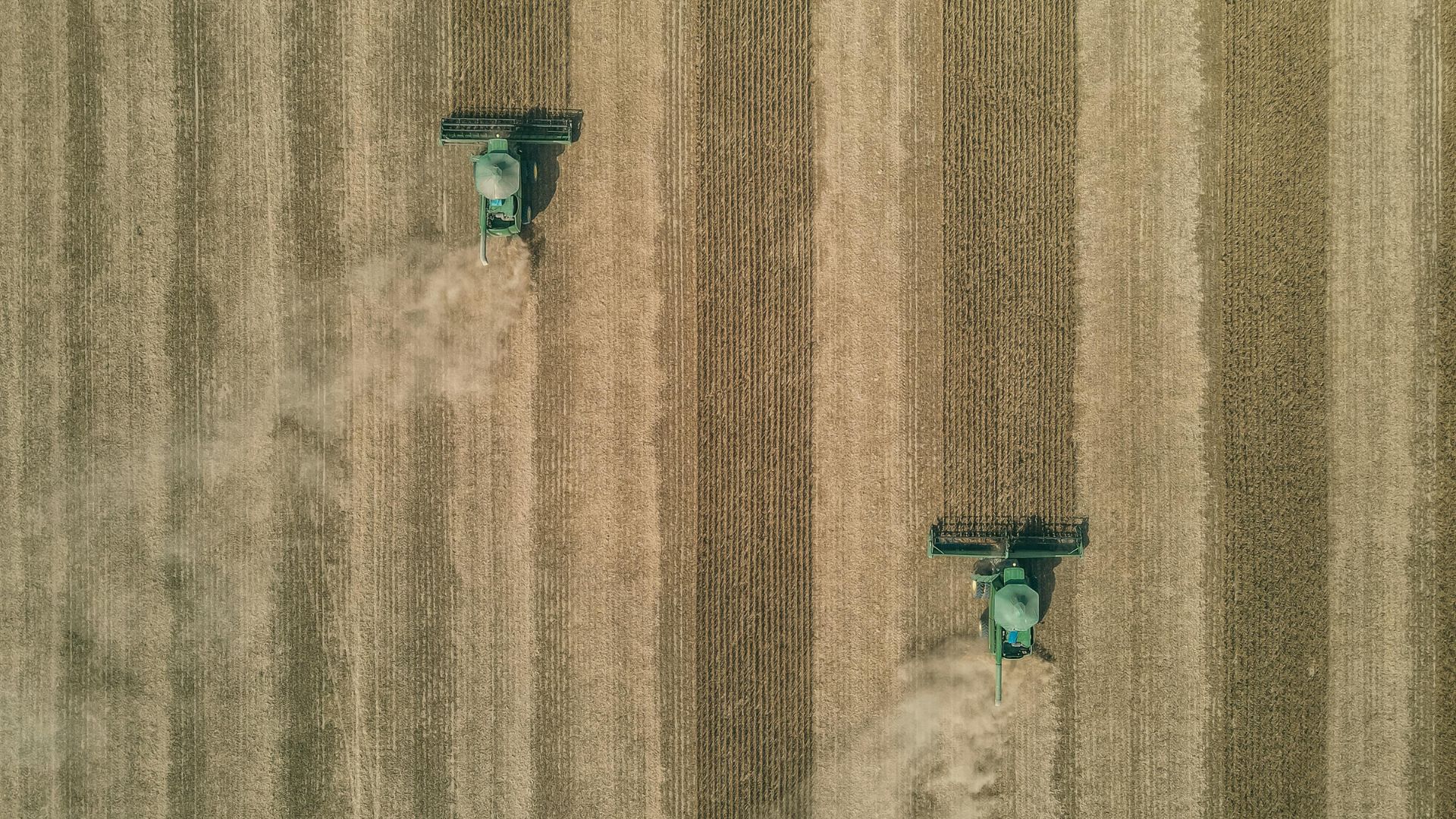 Banco Mundial: preço das commodities agrícolas deve ficar estável em 2025 Banco Mundial: preço das commodities agrícolas deve ficar estável em 2025