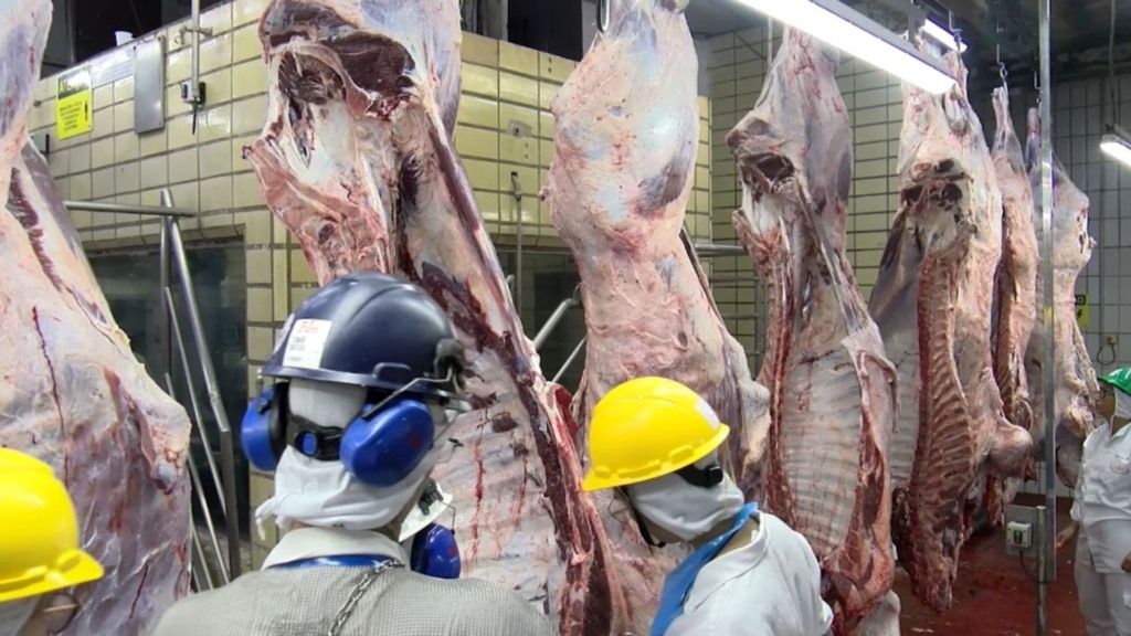 Avaliação de carcaças através do PMGZ Carne. Foto: Divulgação
