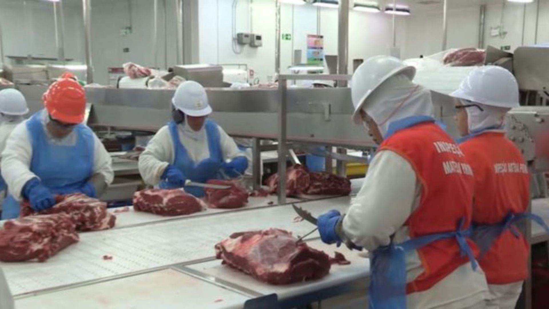 Produção de carnes deve passar de 31 milhões de toneladas em 2025
