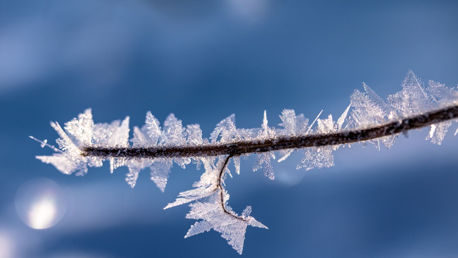 Frio no Dia dos Namorados: onda polar pode impactar pecuária no Centro-Sul