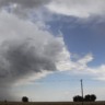 Geada no Sul, seca no Centro-Oeste e chuva no Norte: como o clima afeta o pasto?