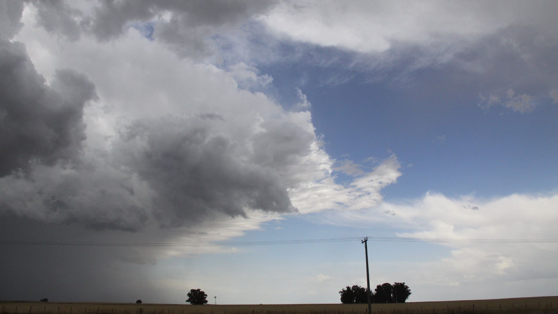 Geada no Sul, seca no Centro-Oeste e chuva no Norte: como o clima afeta o pasto?