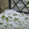 Frente fria traz alerta: rajadas de 100 km/h e risco de granizo em áreas de pecuária