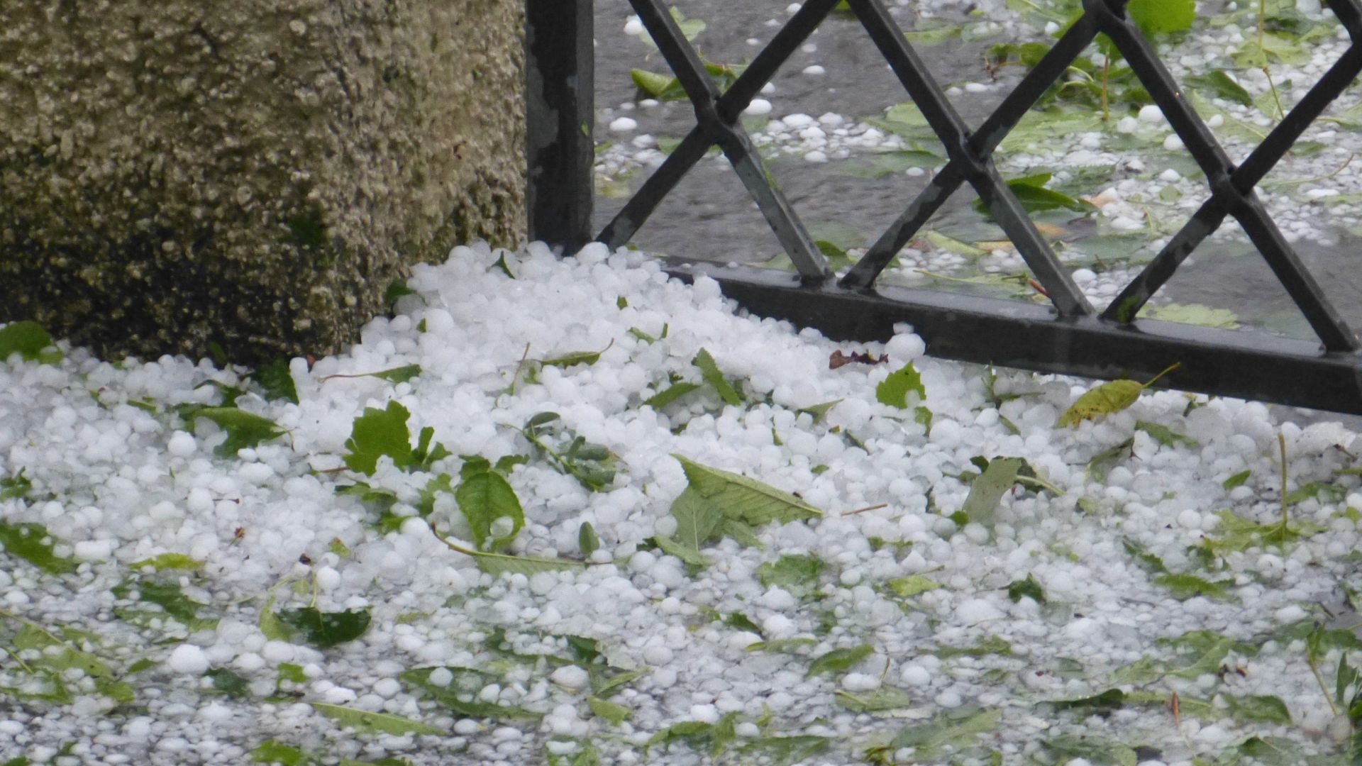 Frente fria traz alerta: rajadas de 100 km/h e risco de granizo em áreas de pecuária