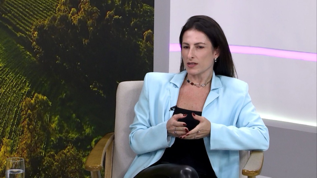 Programação fetal: estudo promete transformar a eficiência das matrizes