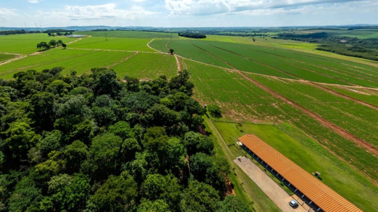 Curso técnico em agropecuária forma profissionais com impacto real no campo