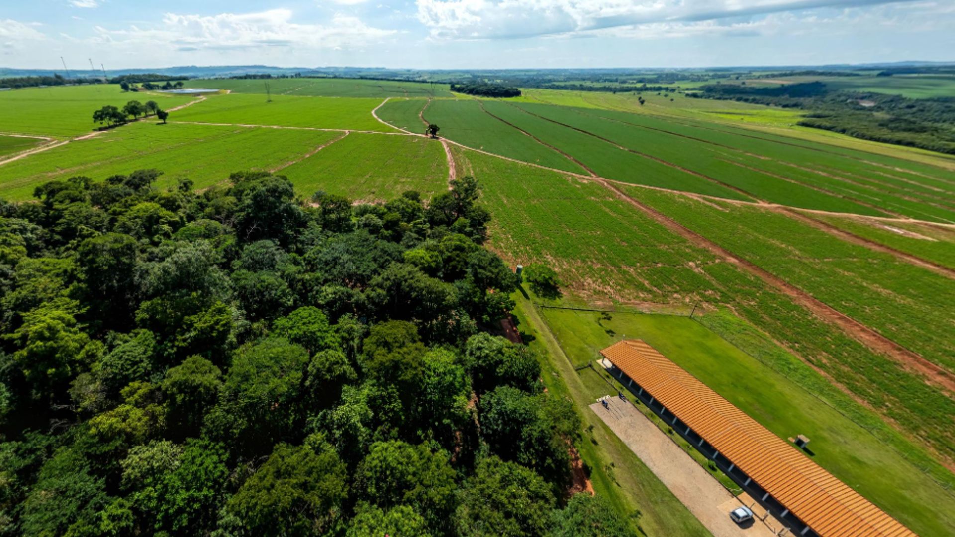 Curso técnico em agropecuária forma profissionais com impacto real no campo