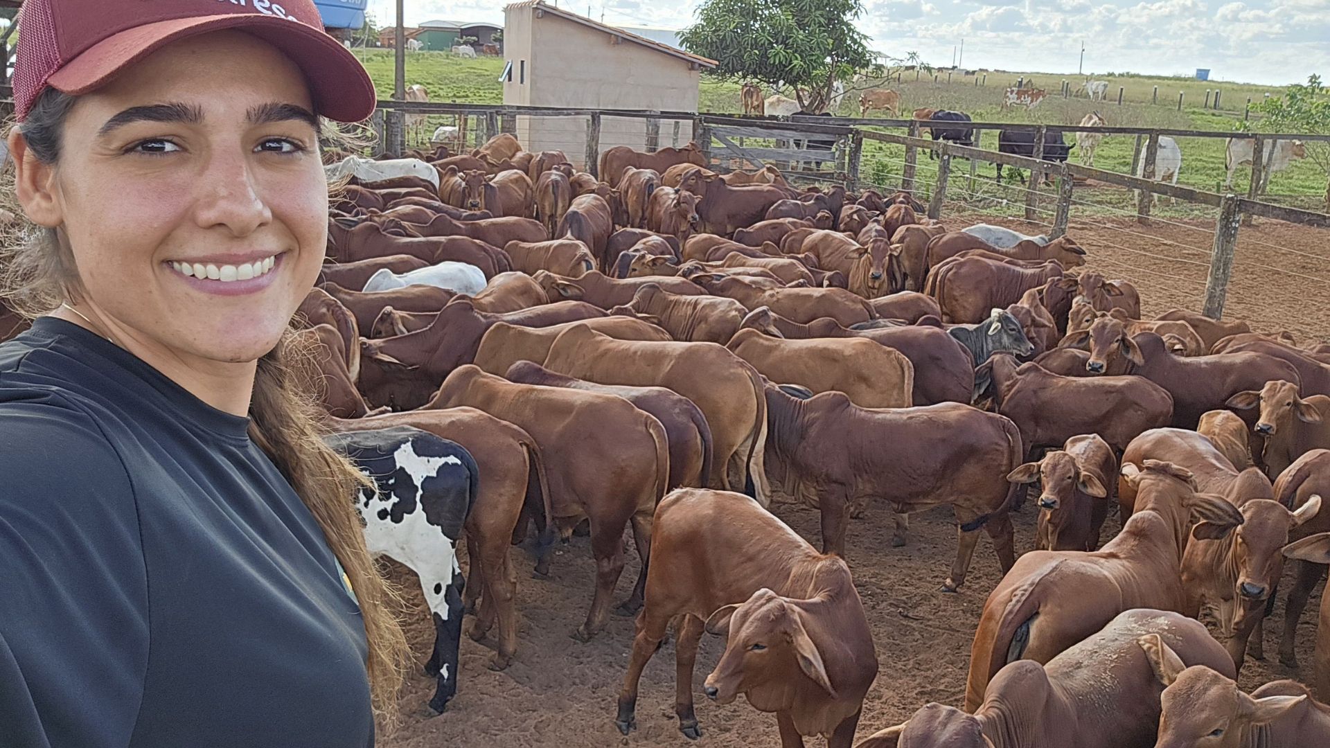Sindi transforma fazenda de Ribeirão Preto em referência nacional na pecuária