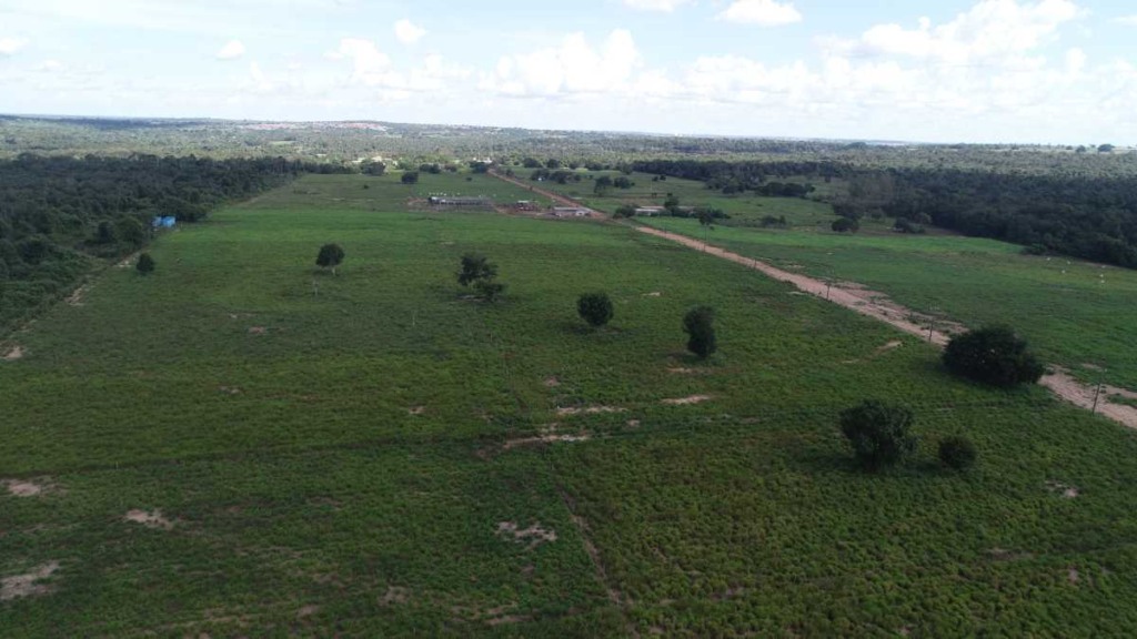 imagem parcial da área experimental dos sistemas de produção a pasto conduzidos na UFNT em parceria com a Sumitomo Chemical