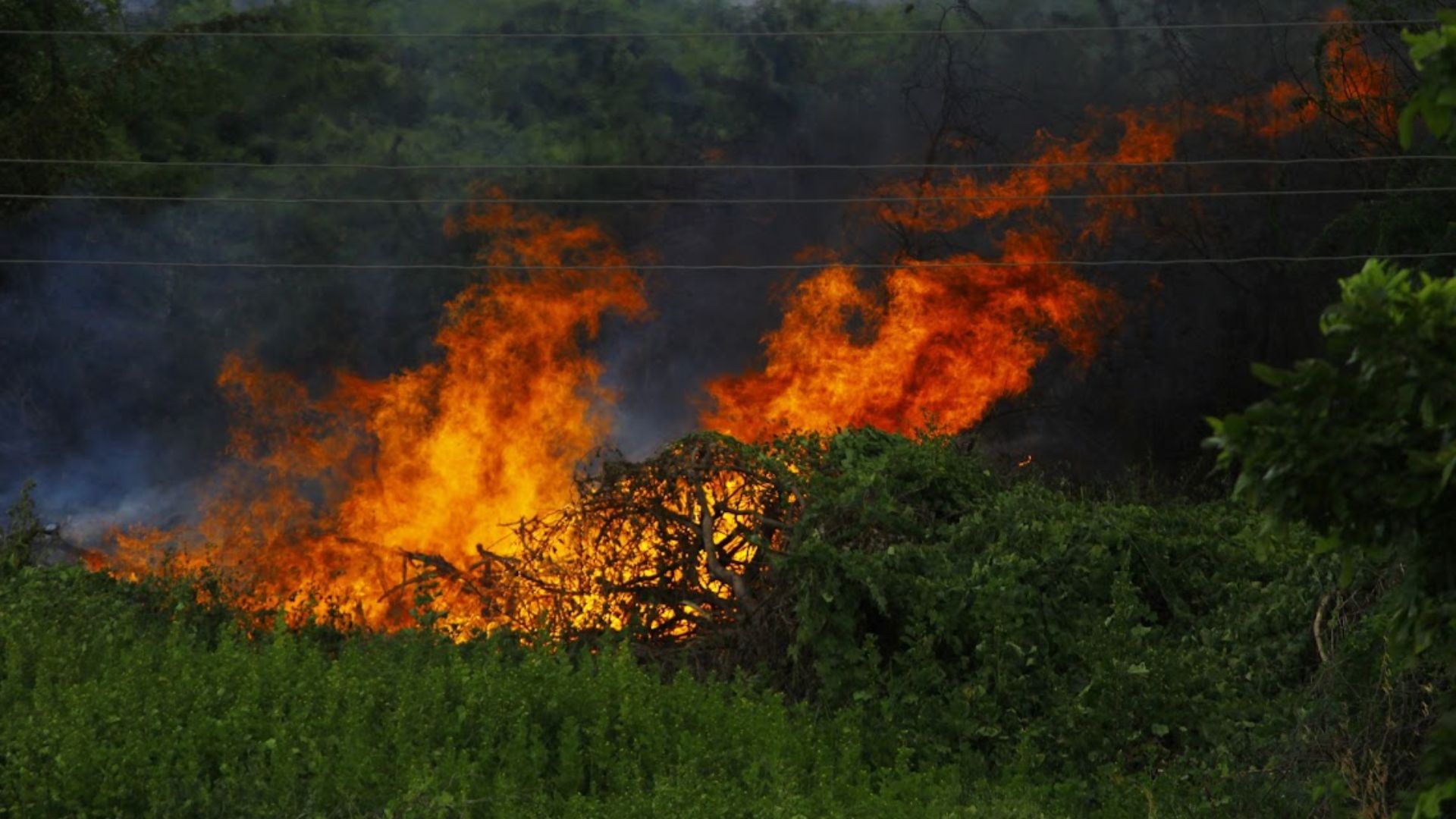 Frente fria derruba temperatura, mas o perigo maior é a seca e o fogo no pasto