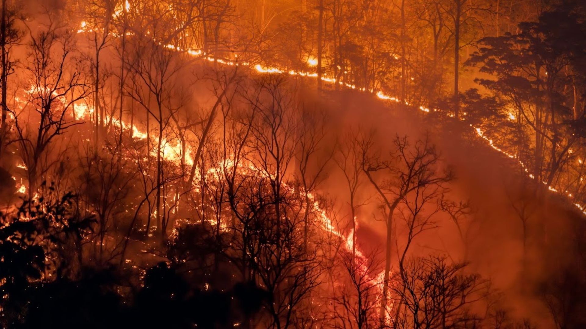 Pasto em alerta: risco de incêndio no Centro do Brasil aumenta. Confira a previsão