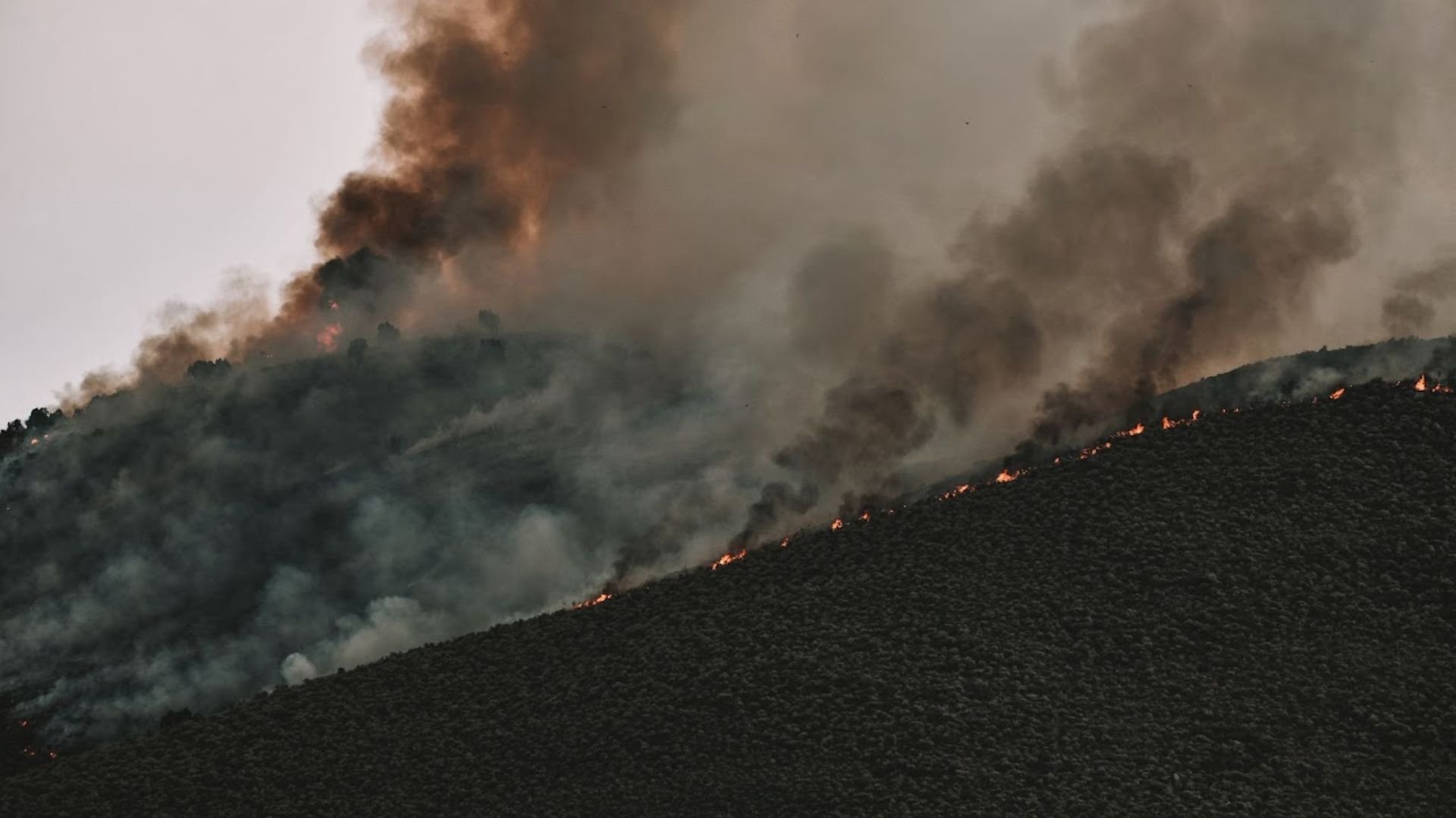 Fogo: nova resolução federal acende alerta e preocupa produtores rurais