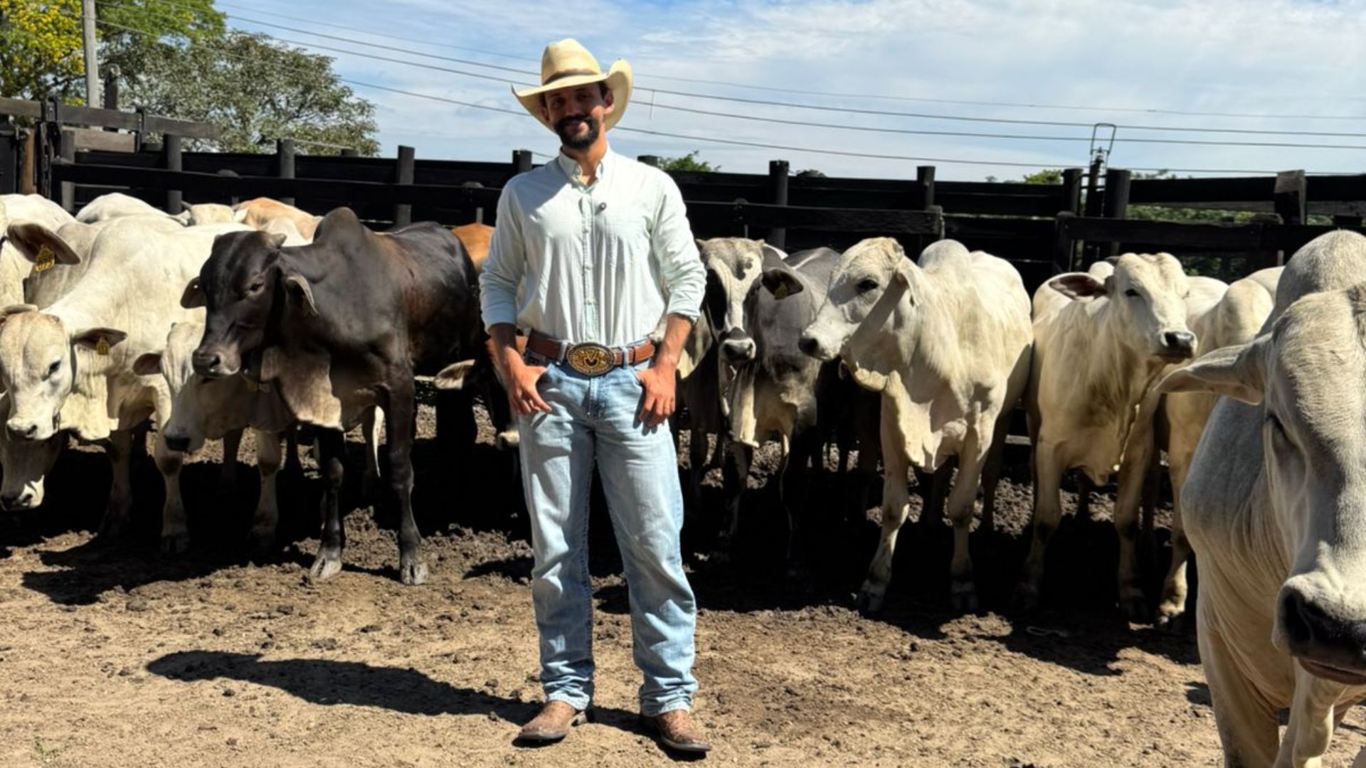 Ganho de 1,1kg ao dia na recria? Veja como fazendeiro virou referência em SP