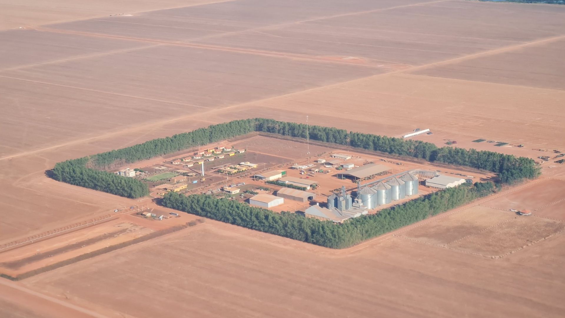 Agro Penido: de fazenda pioneira da sustentabilidade à carne com carbono positivo