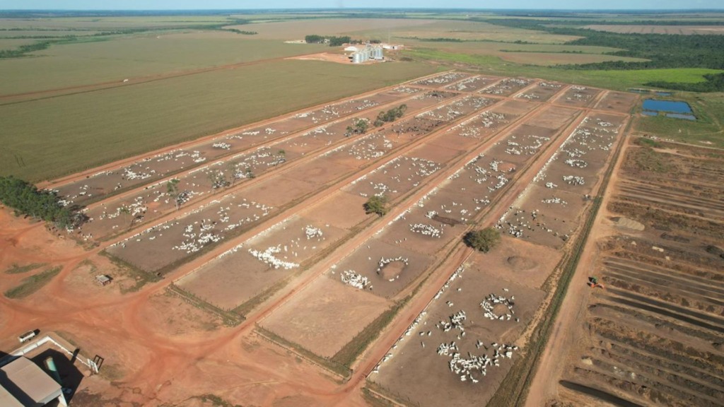 Boitel da JBS em Porto Alegre do Norte em Mato Grosso. Foto: Divulgação