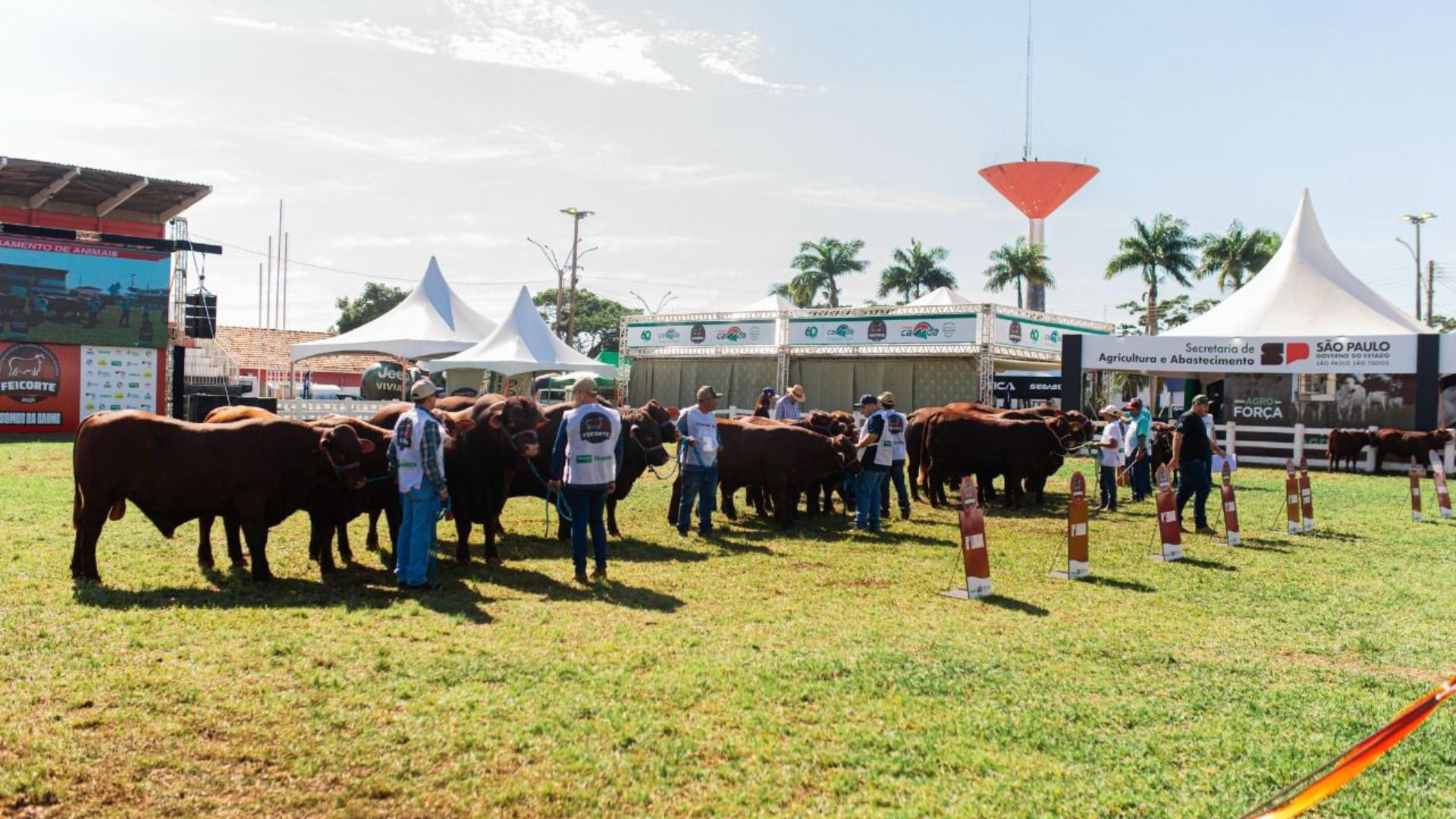 Santa Gertrudis lidera a Feicorte e confirma força no campo