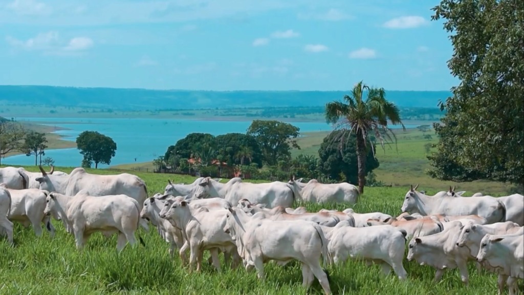 Pecuária no centro do mundo: Antônio de Salvo convoca união para valorizar o agro brasileiro