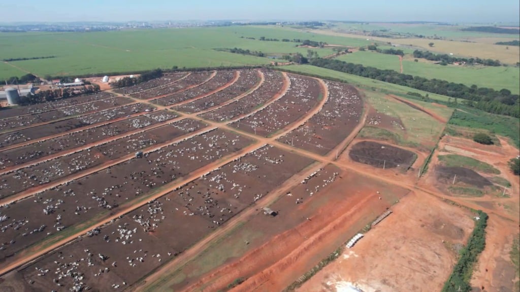 Como funciona um confinamento de 40 mil bois por ano? Como funciona um confinamento de 40 mil bois por ano?