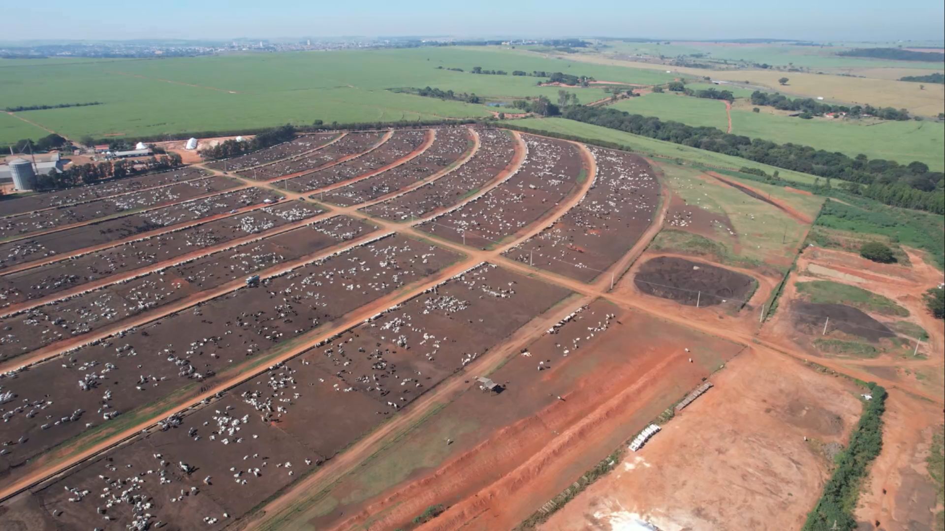 Como funciona um confinamento de 40 mil bois por ano?