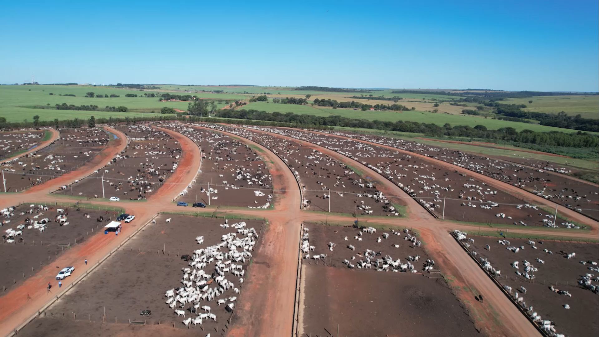 Inteligência artificial e sanidade de ponta revolucionam confinamento no Brasil