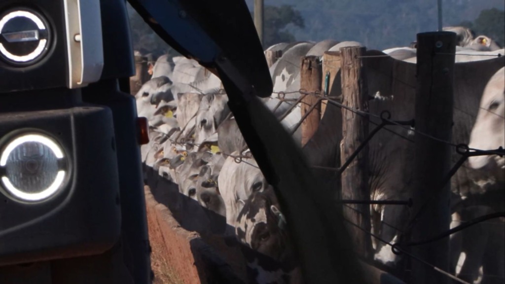 Confinamento bate recorde no Brasil com apoio de tecnologias nutricionais Confinamento bate recorde no Brasil com apoio de tecnologias nutricionais