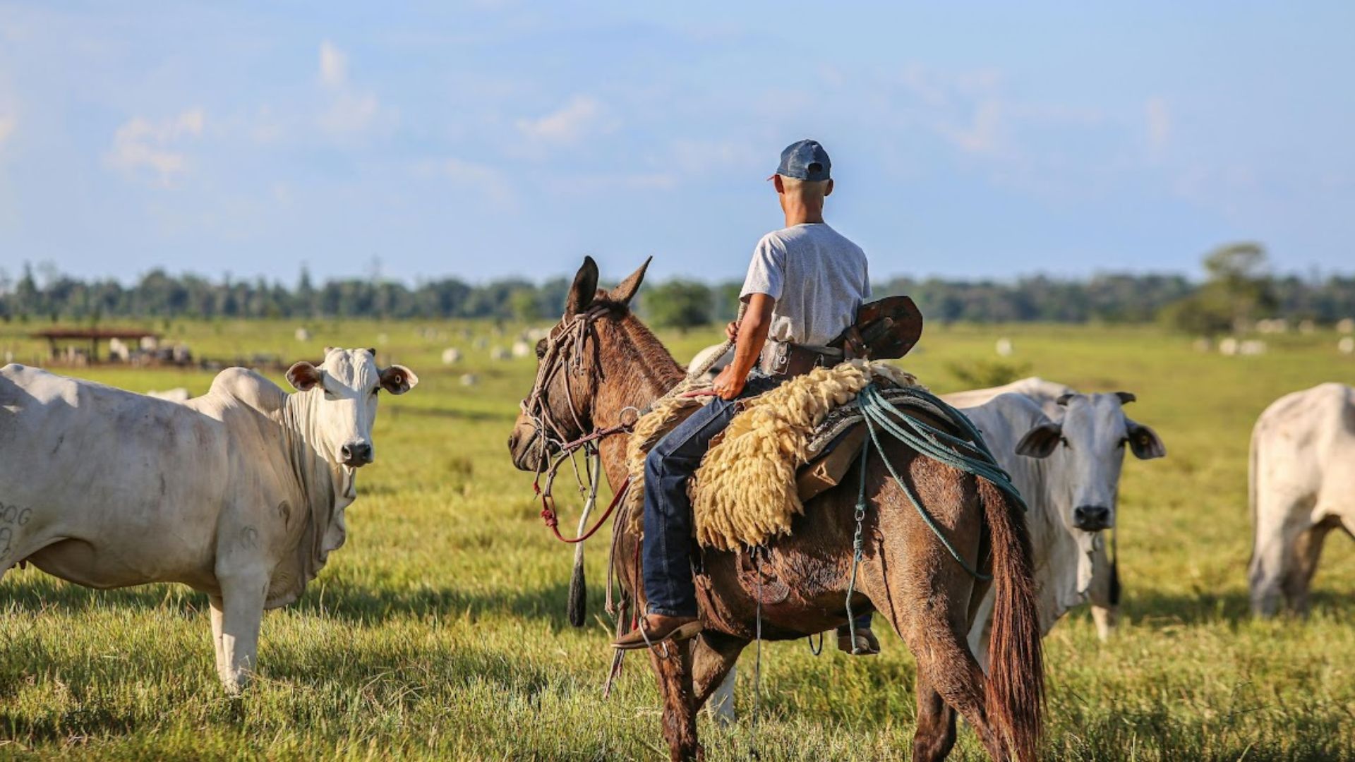 Produzindo Certo: ferramenta já garante escoamento e crédito para 10 mil fazendas