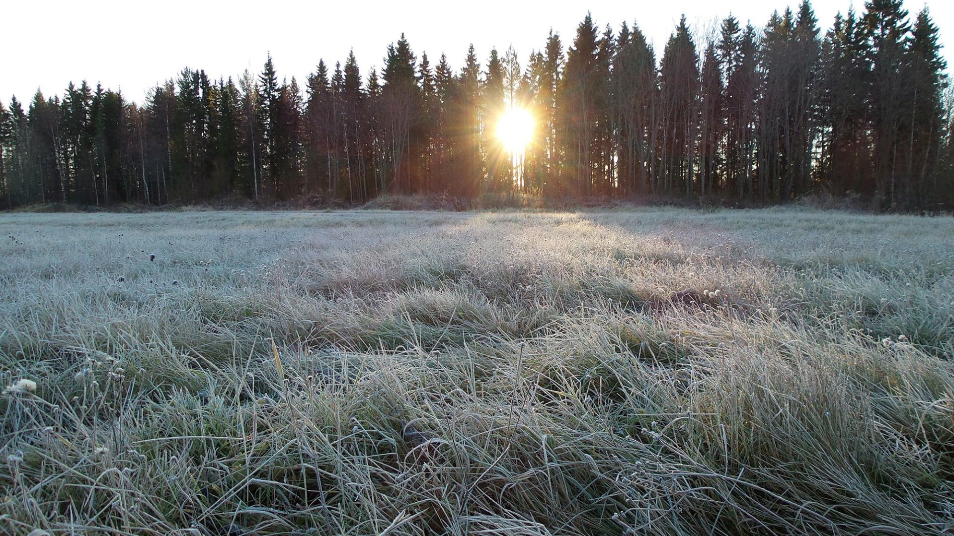 Foto: Canva.