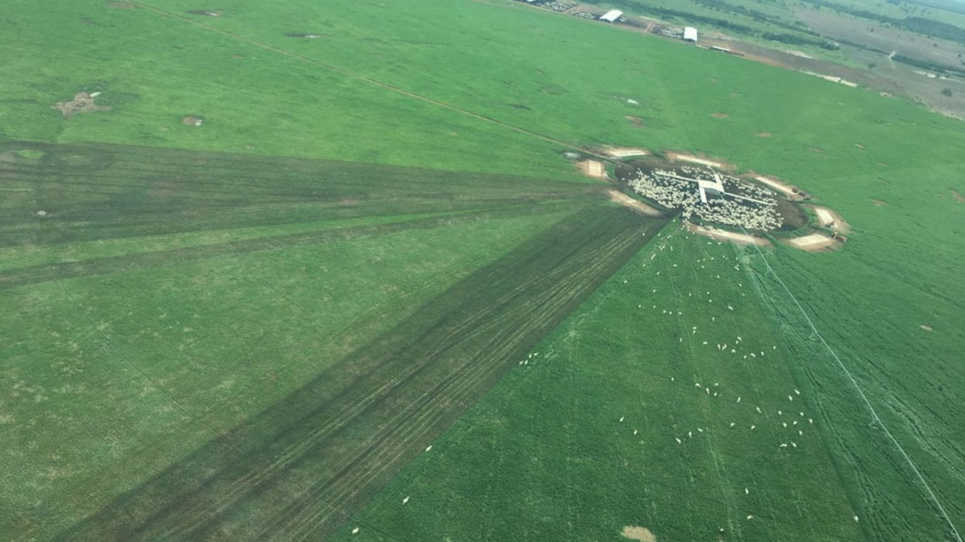Pastejo rotacionado é eficiente com meia UA por hectare na seca. Entenda