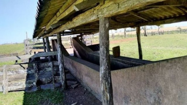 Banho de imersão contra o carrapato bovino: entenda como técnica funciona