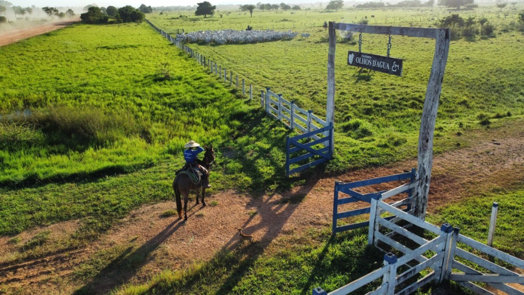 Foto: Acervo/Fazenda Olhos d'Água