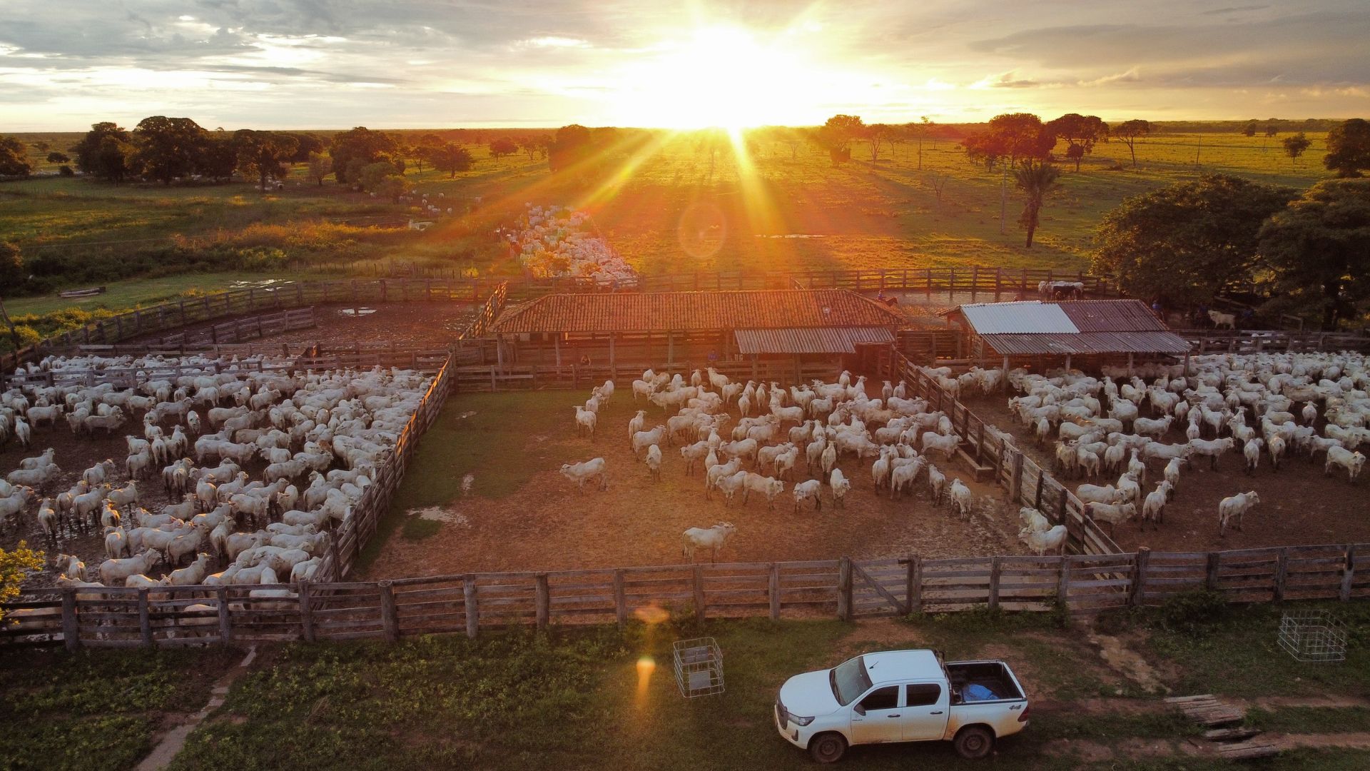 Fazenda Nota 10: 70% de 100 propriedades é neutra ou recolhe carbono, diz estudo inédito