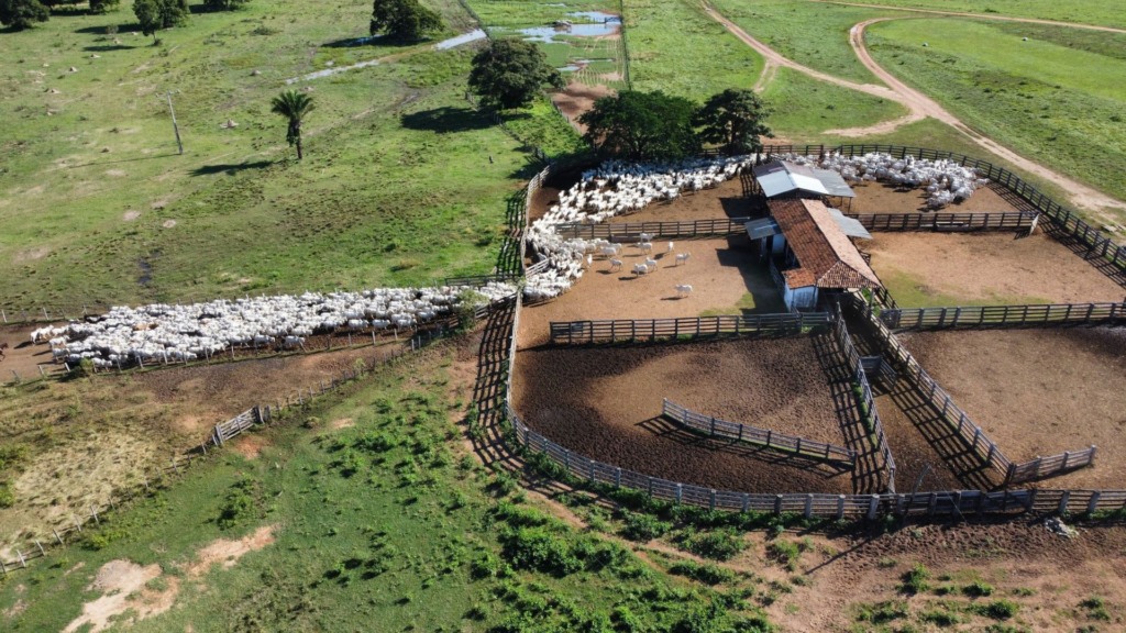 Foto: Acervo/Fazenda Olhos d'Água
