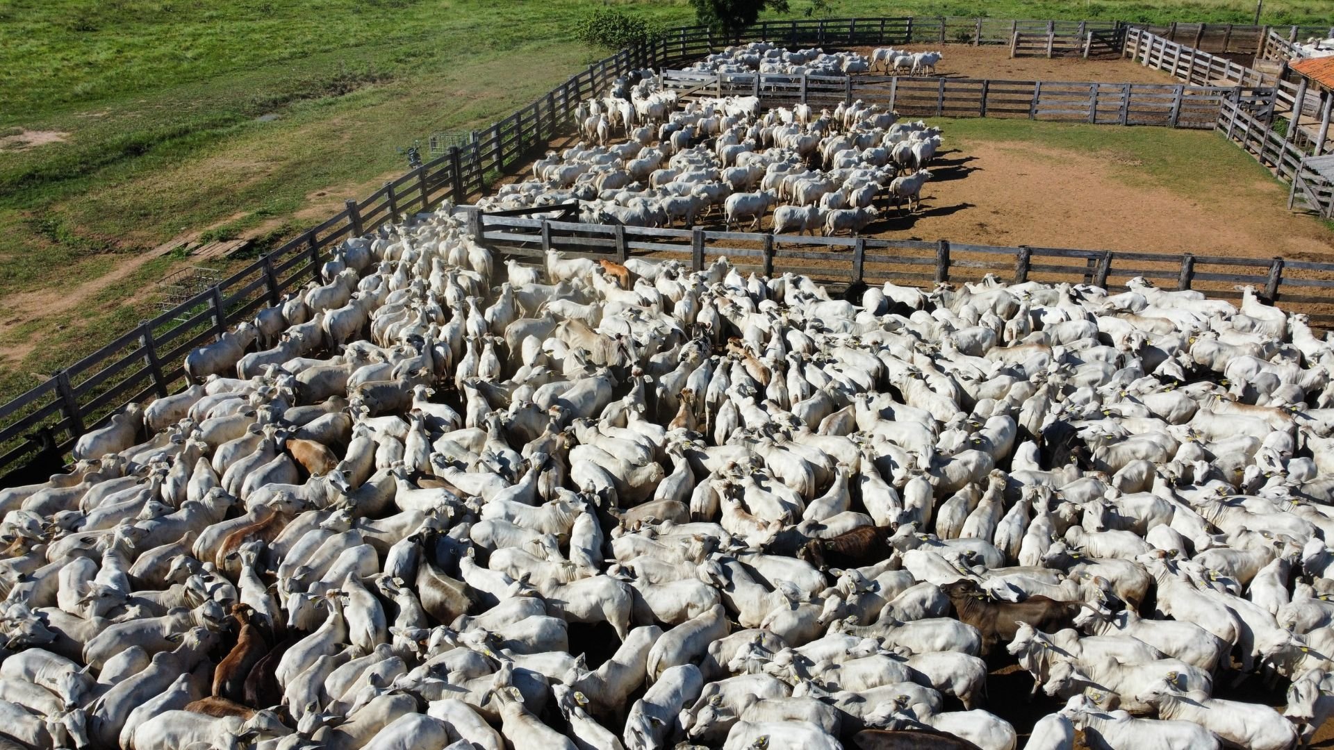 Fazenda Olhos d’Água: os segredos da número 1 em gestão no País