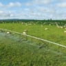 Mato Grosso revoga taxa sobre áreas irrigadas