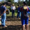 Pecuaristas de Mato Grosso dão aula de sustentabilidade na rodovia MT-208