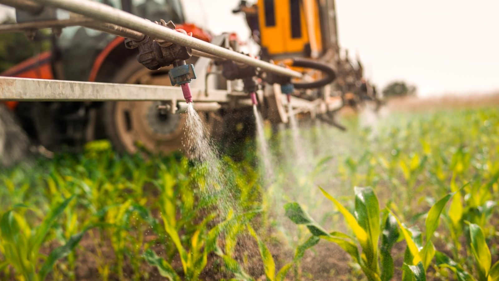 Governo publica decreto com Programa Nacional de Redução de Agrotóxicos (Pronara)