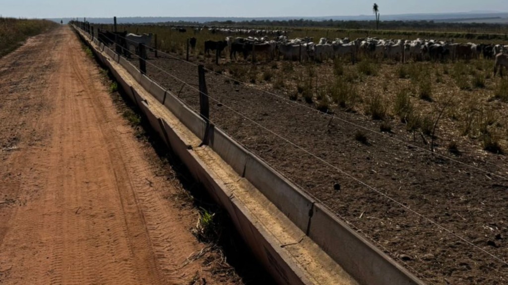 Boitel da Fazenda Sonho Real em Terenos (MS). Foto: Divulgação/Friboi
