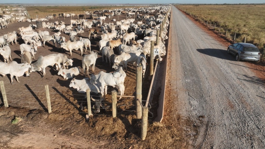 Vista aréa do confinamento de bovinos de corte da Captar Agrobusiness em Luis Eduardo Magalhães (BA). Foto: Divulgação/Captar Agrobusiness