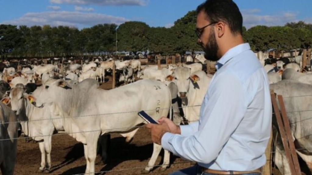 Pecuarista em área de confinamento de gado. Foto: Divulgação