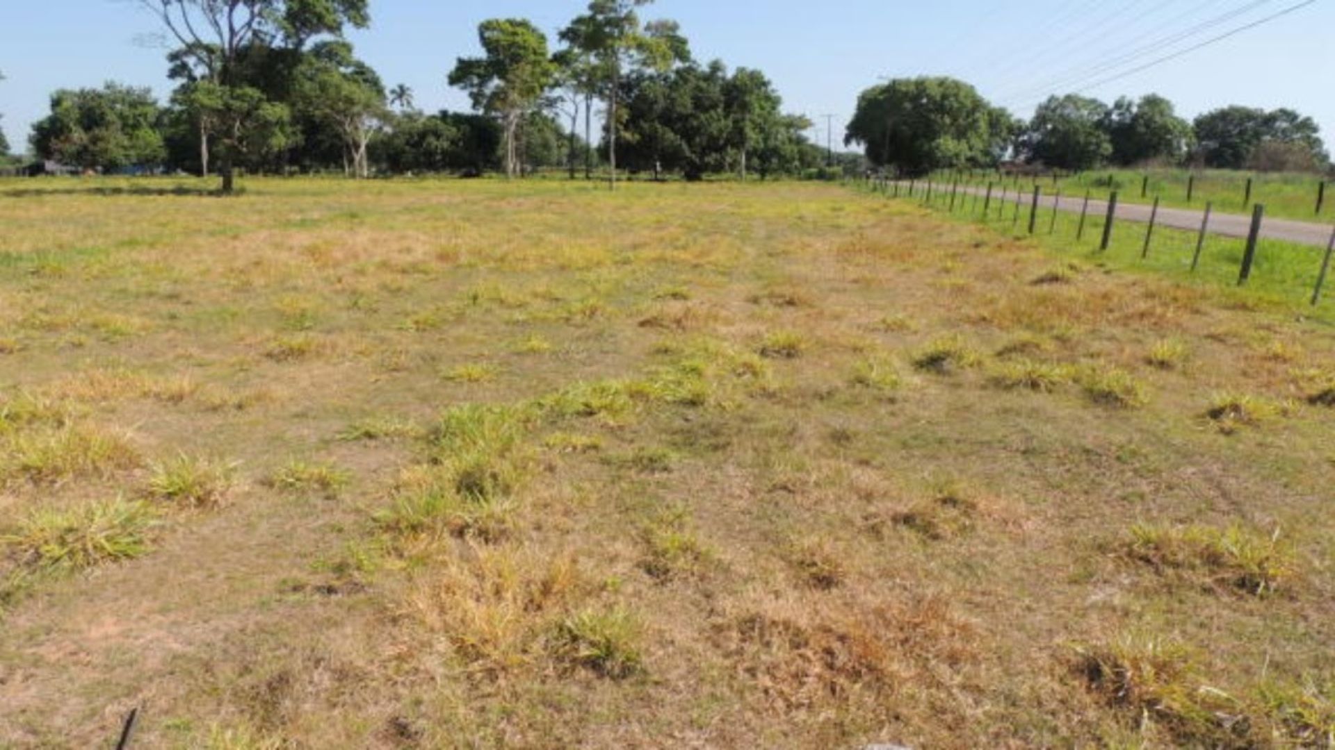 JBS lança projeto para restaurar até 3 mil hectares em Rondônia