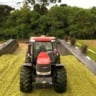 Silagem de milho ensacado: é essencial o uso de inoculante nela?