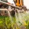 Adubação líquida no pasto: funciona ou não?