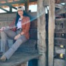 Cavalo Quarto de Milha: ela elevou a régua do bem-estar animal e desempenho da raça